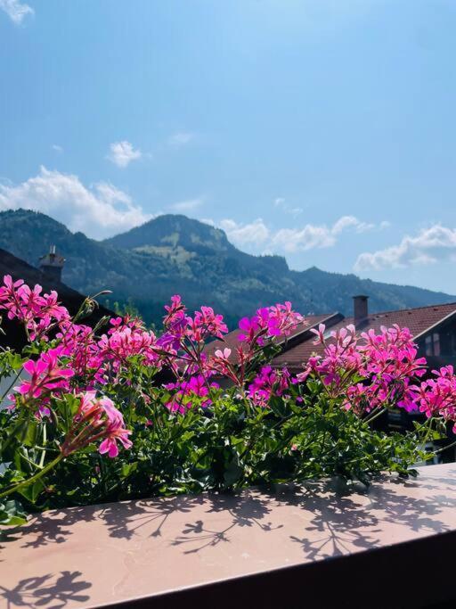 Berge, Wandern, Erholung Pur! Fewo Tinka-Haus Katja Bad Hindelang Dış mekan fotoğraf